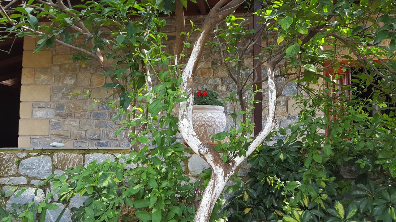Villa Onar A Stone House With Amazing View Stoúpa Dış mekan fotoğraf